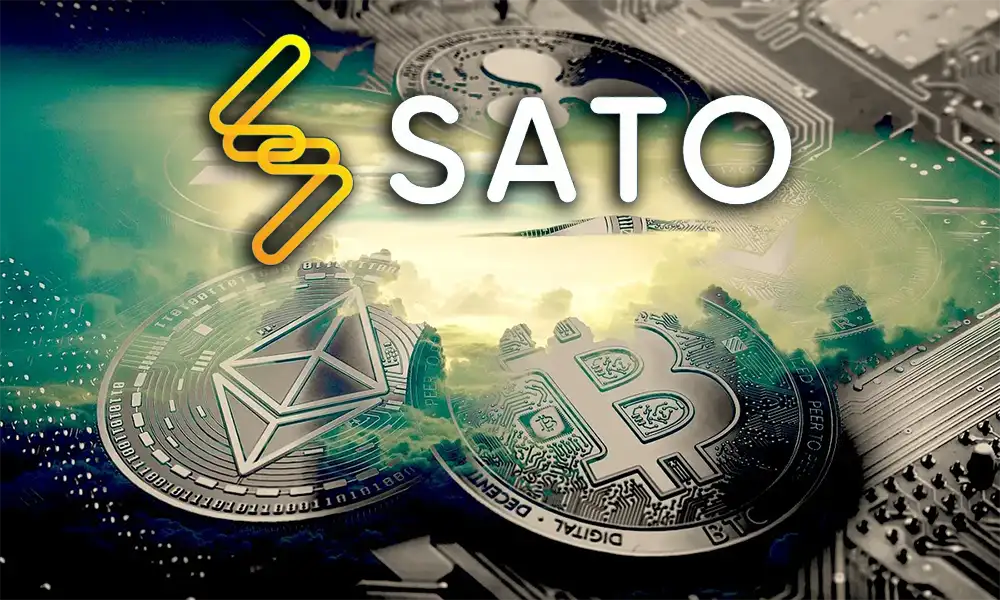 Sato Yöneticisi: Kripto Kışı, Yaratmak ve Öğrenmek için Fırsat