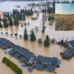 Doğal Afetlerin Ekonomiye Korkunç Etkisi Rakamlarla Ortada!