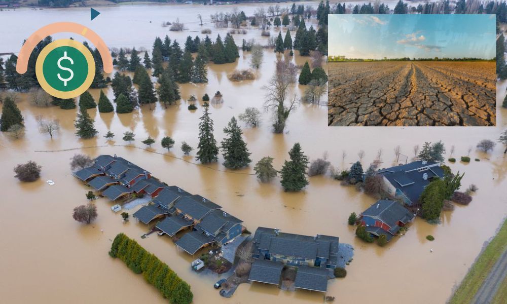 Doğal Afetlerin Ekonomiye Korkunç Etkisi Rakamlarla Ortada!