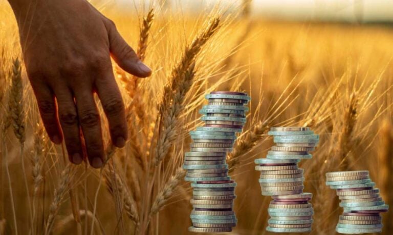 Tarımda Üretici Enflasyonu Temmuz’da Rekor Tazeledi