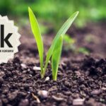 Tarımsal Girdi Fiyat Endeksi Haziran’da Rekor Tazeledi