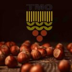 TMO Fındık Alım Fiyatları Hakkında Açıklama Yaptı