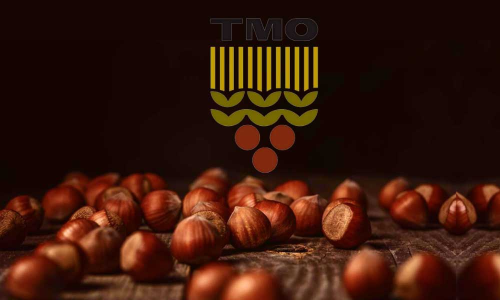 TMO Fındık Alım Fiyatları Hakkında Açıklama Yaptı