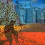 Zaporijya’dan İhraç Edilen Tahıl Günde 7 Bin Tona Çıktı