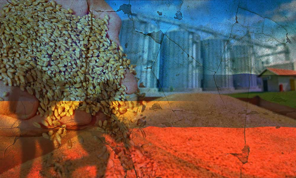 Zaporijya’dan İhraç Edilen Tahıl Günde 7 Bin Tona Çıktı