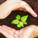 2004’ten Bu Yana 2 Binden Fazla Bitkisel Ürün Korumaya Alındı