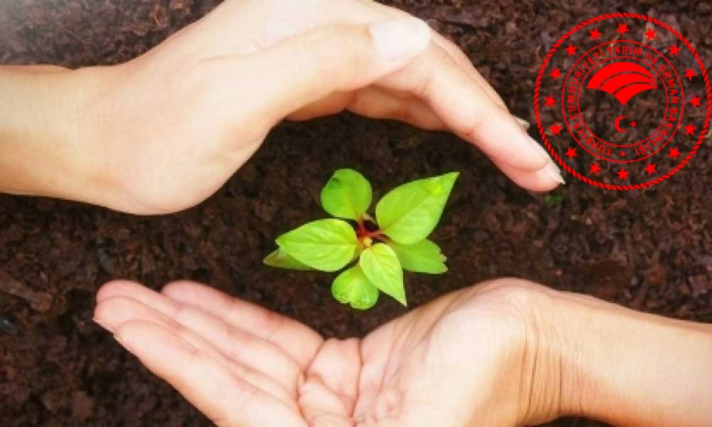 2004’ten Bu Yana 2 Binden Fazla Bitkisel Ürün Korumaya Alındı