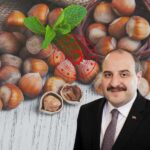 AB ile Türkiye’nin 9,5 Milyon Euro Destekli Fındık Projesi