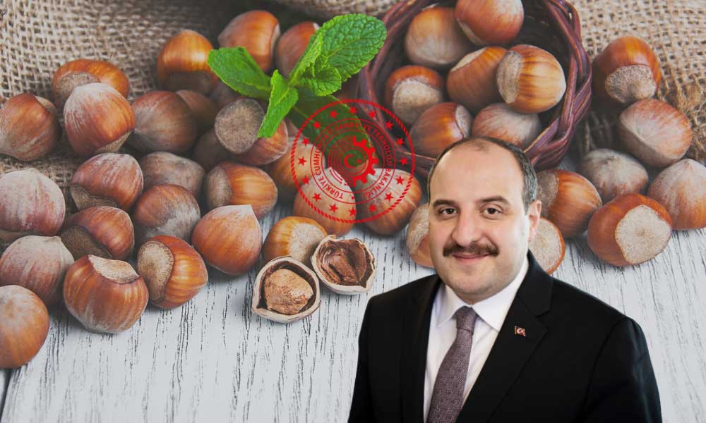 AB ile Türkiye’nin 9,5 Milyon Euro Destekli Fındık Projesi