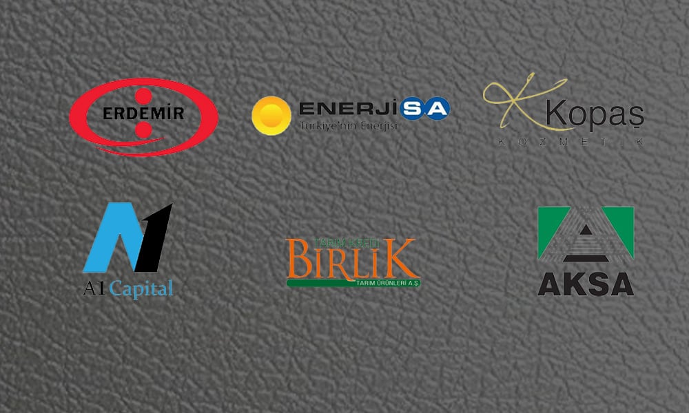 SPK 6 Şirketin Borçlanma Aracı Başvurusunu Onayladı