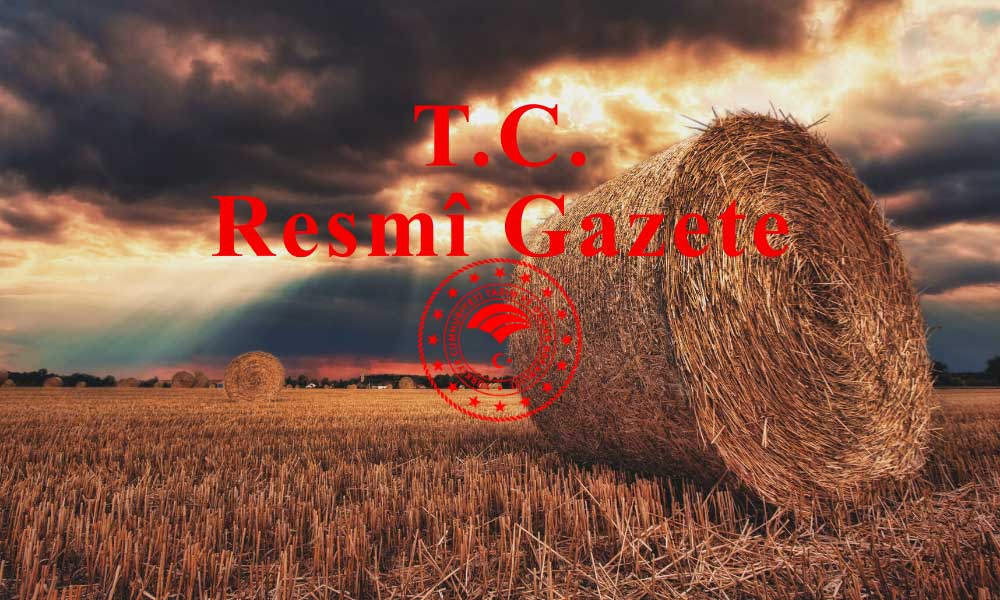 Arpa ve Buğday Alımlarında 15 Şehre Yeni Tarih Verildi!