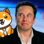 SHIB Rakibi Baby Doge Hareketlendi! Bir Sonraki Büyük Altcoin mi?