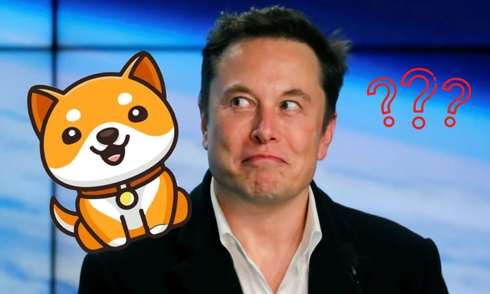 SHIB Rakibi Baby Doge Hareketlendi! Bir Sonraki Büyük Altcoin mi?