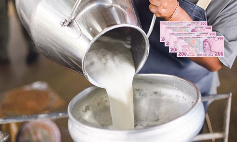 Bakan Duyurdu Çiftçilere Çiğ Süt Desteği Artıyor