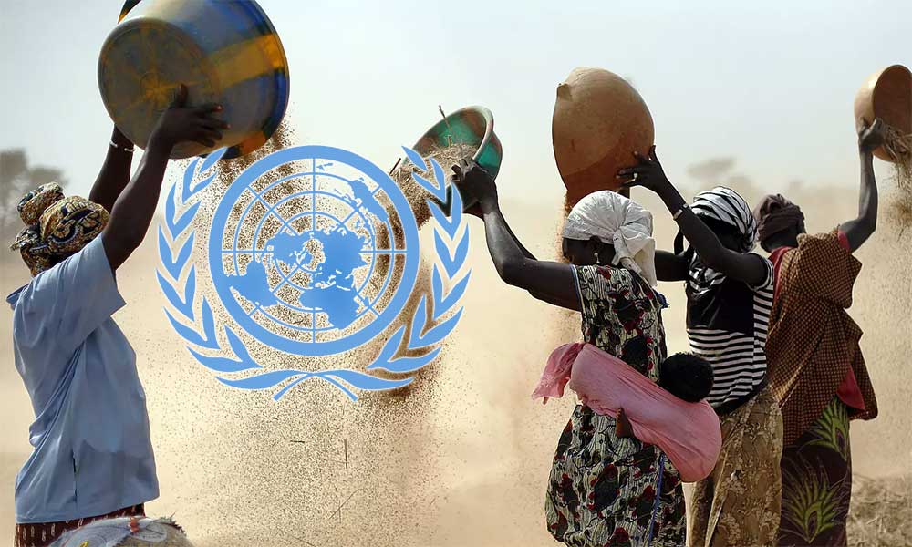 BM: Gıda Krizi Nedeniyle 1 Milyon İnsan Aç Kalabilir