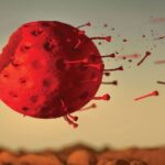 DSÖ’den Açıklama: Kovid-19 Pandemisinin Sonu Göründü mü?