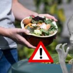 Dünya Gıda İsrafı ve Yetersizliği İle Mücadele İçinde!