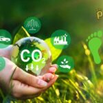 Gündemde Yer Alan Karbon Ayak İzi Nedir?