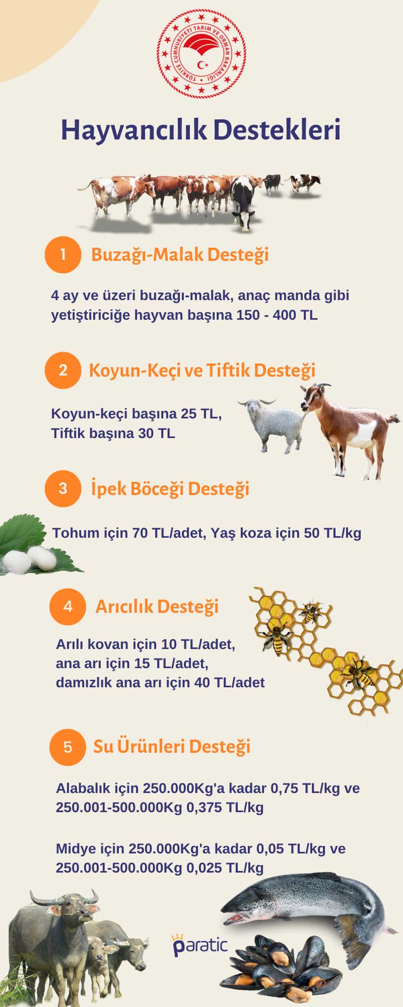 Hayvan Yetiştirmek İsteyenlere Yöntemler