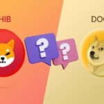 SHIB mi DOGE mu? ABD’li Politikacı Seçimini Yaptı!