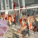 Sözleşmeli Besicilere Yapılacak Destek Ödemeleri Açıklandı