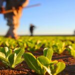 Tarımsal Girdi Fiyatları Temmuz’da Rekordan Geriledi