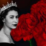 Türkiye Kraliçe’nin Cenazesine 1,5 Milyon Karanfil Gönderiyor