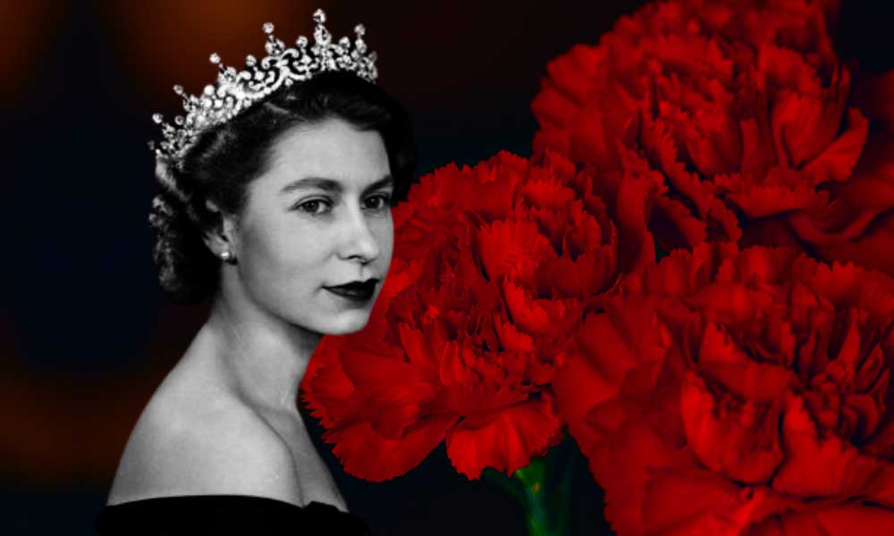 Türkiye Kraliçe’nin Cenazesine 1,5 Milyon Karanfil Gönderiyor