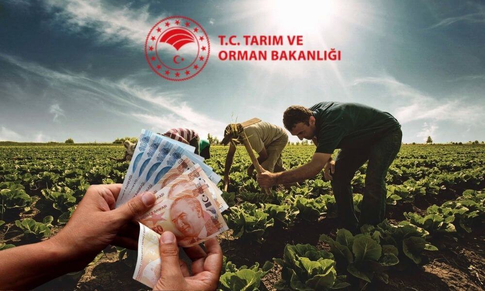 Üreticiye 709 Milyon Liralık Destek Ödemesi Dağıtılıyor