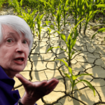 Yellen: İklim Değişikliği Ekonominin Üretim Kapasitesi için Risk