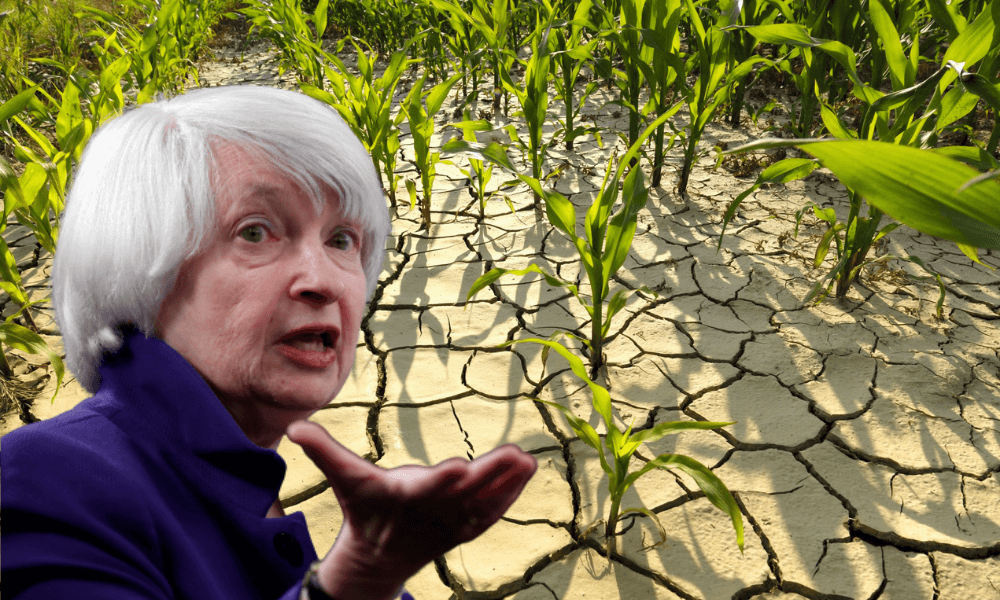 Yellen: İklim Değişikliği Ekonominin Üretim Kapasitesi için Risk