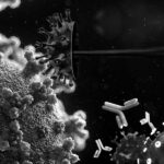 ABD Çin’i Suçlamak için Yeni Koronavirüs Üretti