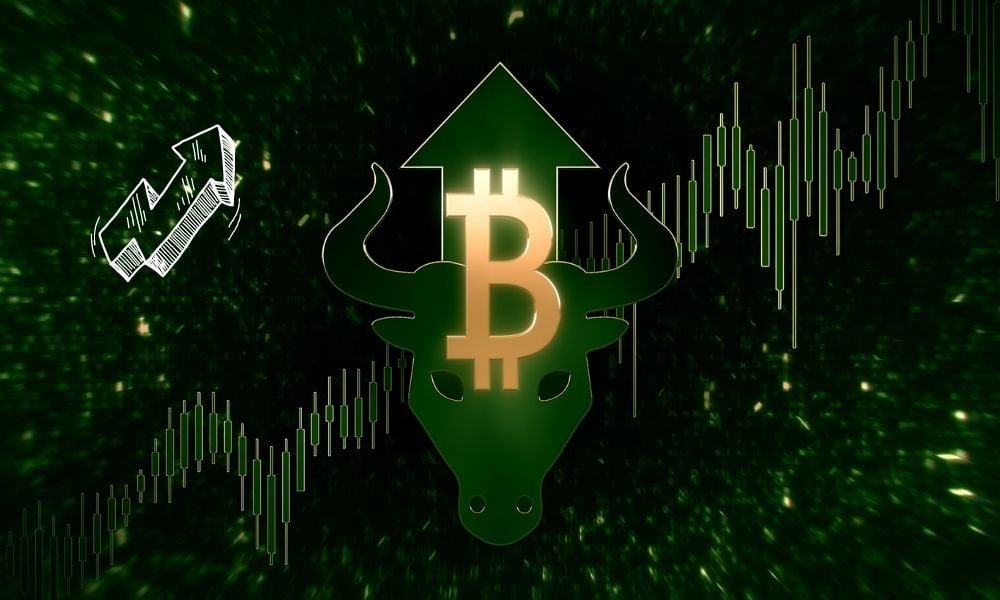 Rapor Açıklandı: Bu İki Şey Bitcoin Fiyatını Uçuşa Geçirebilir!