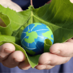 Türkiye Çevre Koruma Harcamalarını Yüzde 60 Artırdı