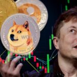 Dogecoin Doludizgin: Gerçek Bir Boğa Koşusu mu Yatırım Tuzağı mı?