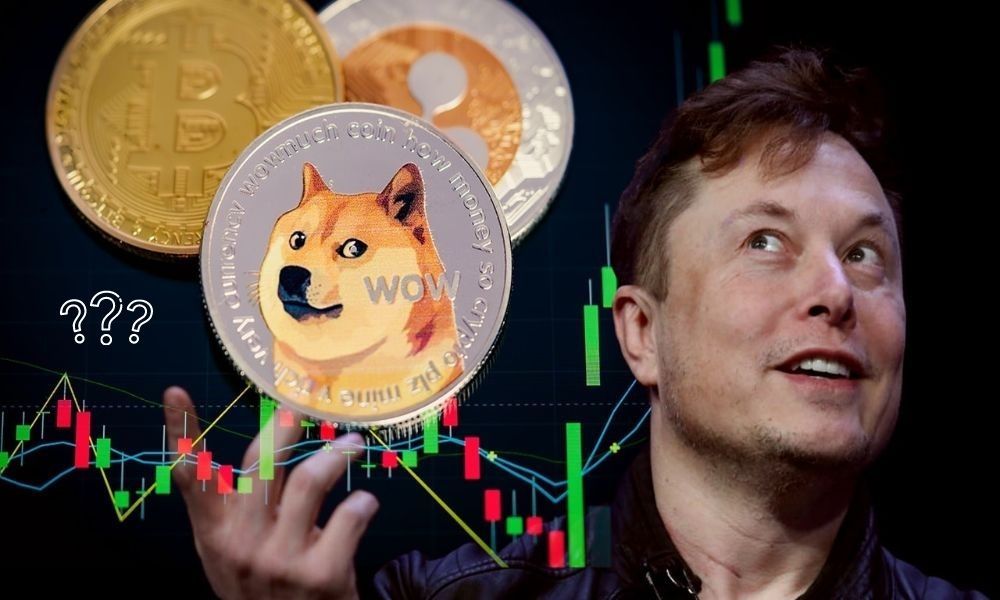 Dogecoin Doludizgin: Gerçek Bir Boğa Koşusu mu Yatırım Tuzağı mı?