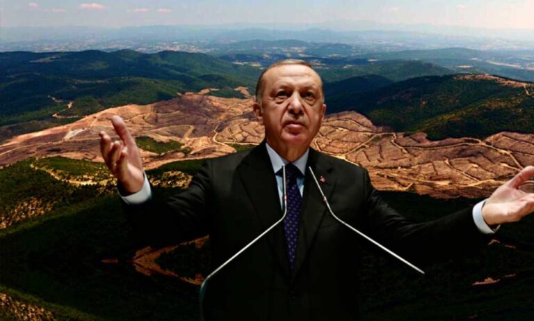 Erdoğan: Kaz Dağlarına En Ufak Zarar Vermedik