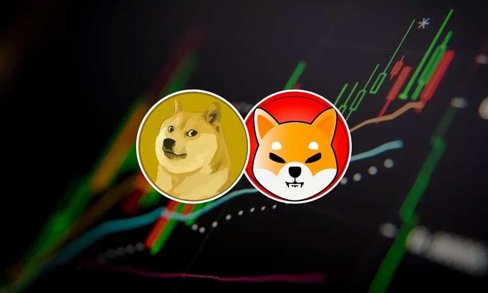 DOGE ve SHIB için İddialı Tahmin: Rallinin Yıldızı Olacaklar