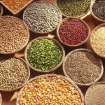 Hububatçılar Yurt Dışında İzlenen Türk Dizilerine Odaklandı