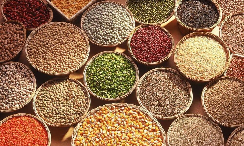 Hububatçılar Yurt Dışında İzlenen Türk Dizilerine Odaklandı