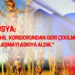 Rusya’dan Tahıl Açıklaması Geldi: Türkiye ve BM ile Görüşülecek!