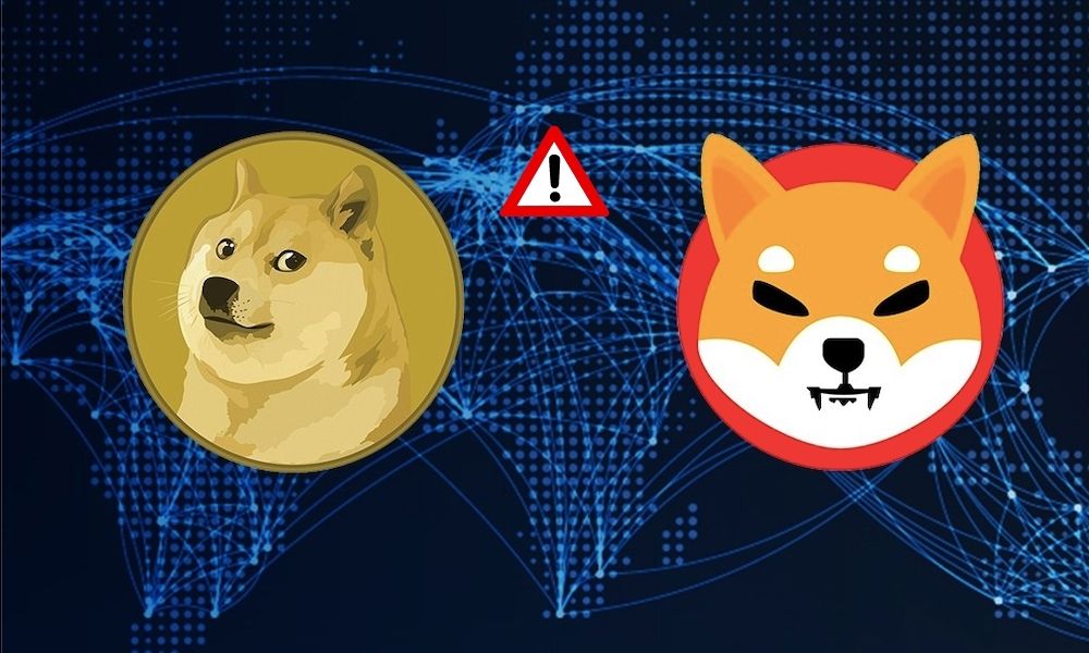 Popüler Analistin SHIB ve DOGE Konusunda Önemli Uyarısı Var!