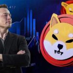 Shiba Inu’da Elon Musk Etkisi: Fiyat Yükseliyor!