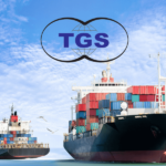 TGS Dış Ticaret’e İDMİB’den Platin Ödül!