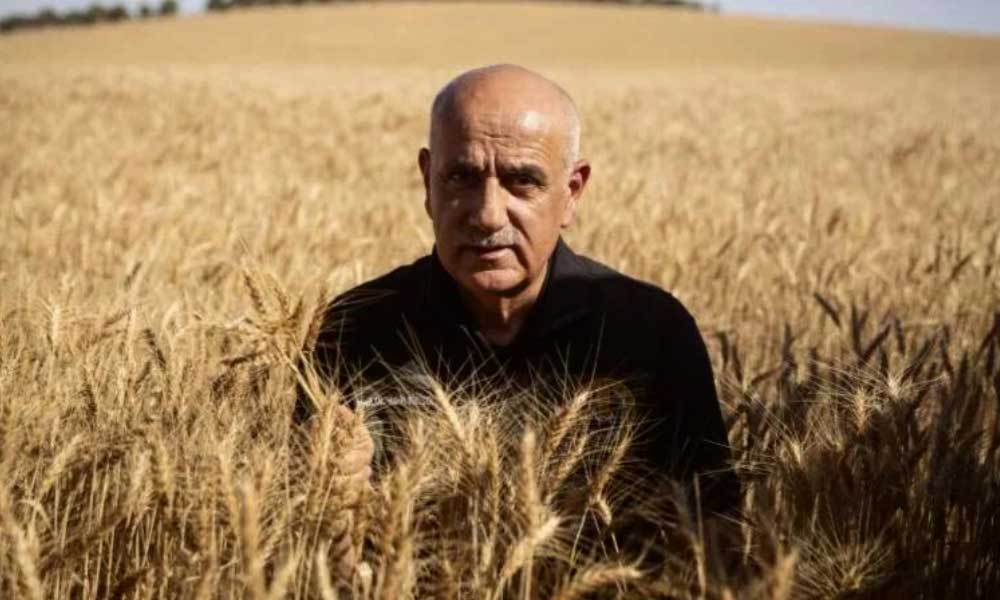 Bakan Kirişci: Fakir Ülkelere Bedava Tahıl İşleyeceğiz