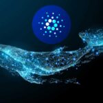 Cardano’da Yükseliş mi Geliyor? Balinalar Harekete Geçti