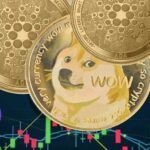DOGE, ADA VE MATIC Yatırımcıları için Uyarı! Sırada Ne Var?