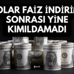 Dolar Kuru 4. Faiz İndirimini de Görmezden Geldi