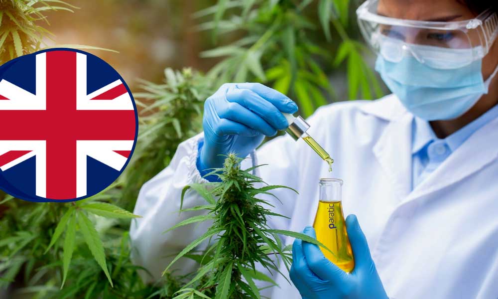 İngiltere Esrar Kullanımı için Ödeme Yapacak!