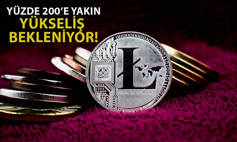 Litecoin’de Yarılanma Yaklaşıyor: Analist Ralli Bekliyor